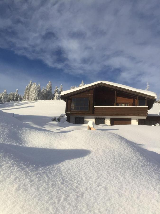 Chalet Alpenblick Villa Monguelfo-Tesido / Welsberg-Taisten Dış mekan fotoğraf